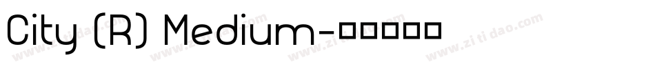 City (R) Medium字体转换